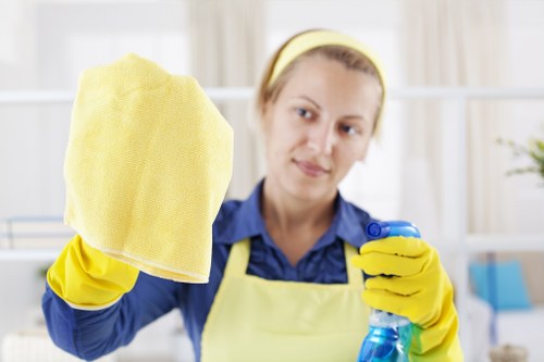 Domestic cleaning service for Fulham homes and flats