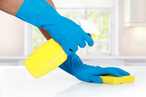 Local sofa cleaning service for apartments and family homes in Fulham