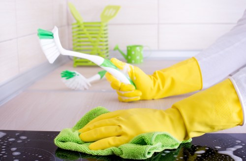Stain treatment and deep cleaning for a mattress in Fulham