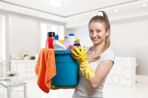 Cleaning equipment used for carpet cleaning in Fulham properties