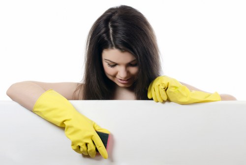 Deep cleaning an oven door and glass in Fulham